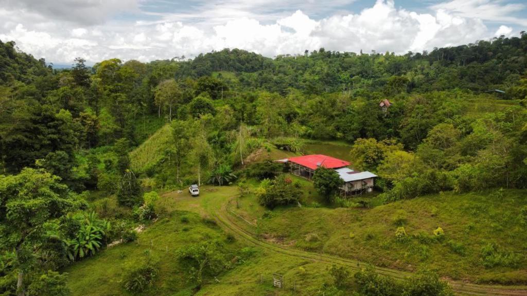Albergue La Laguna Puerto Jiménez Eksteriør bilde