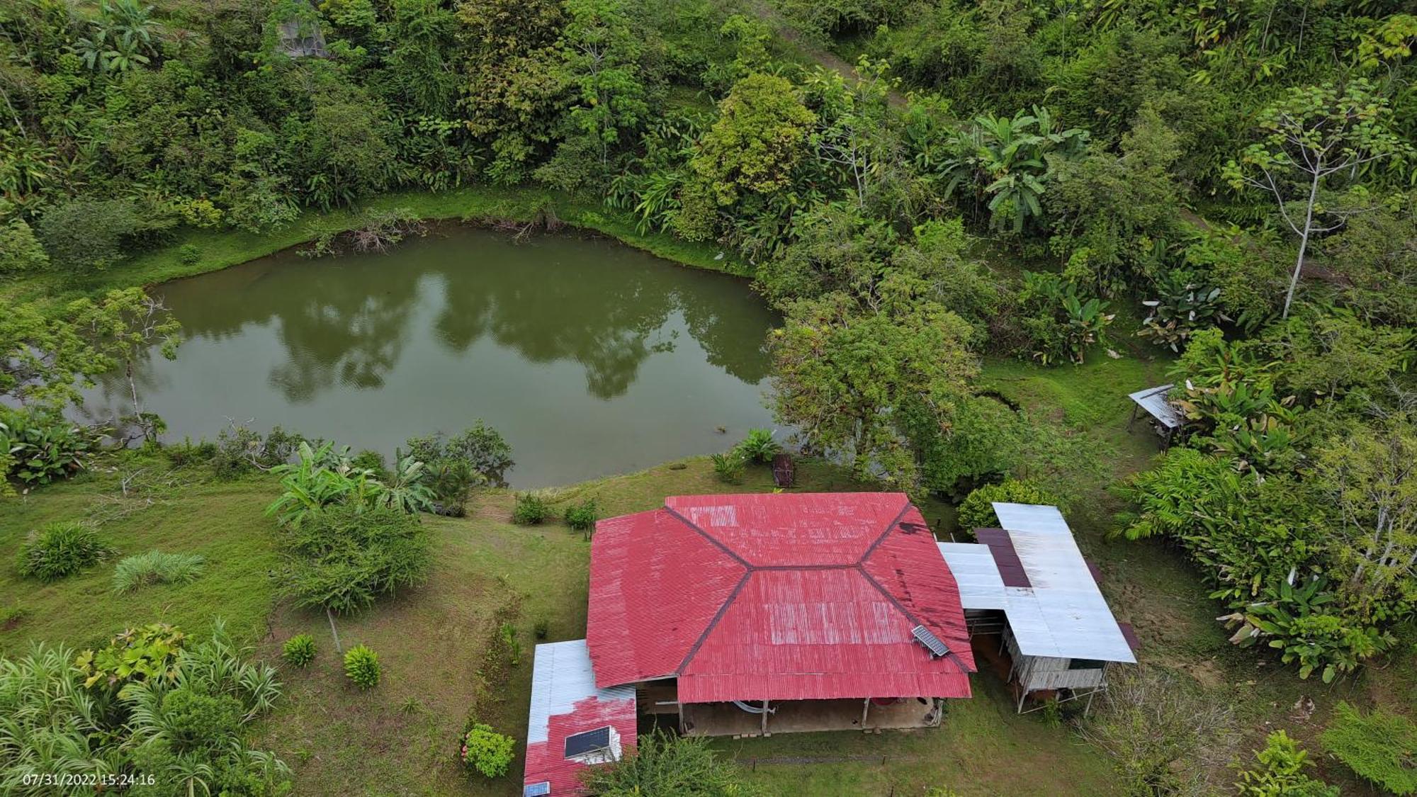 Albergue La Laguna Puerto Jiménez Eksteriør bilde