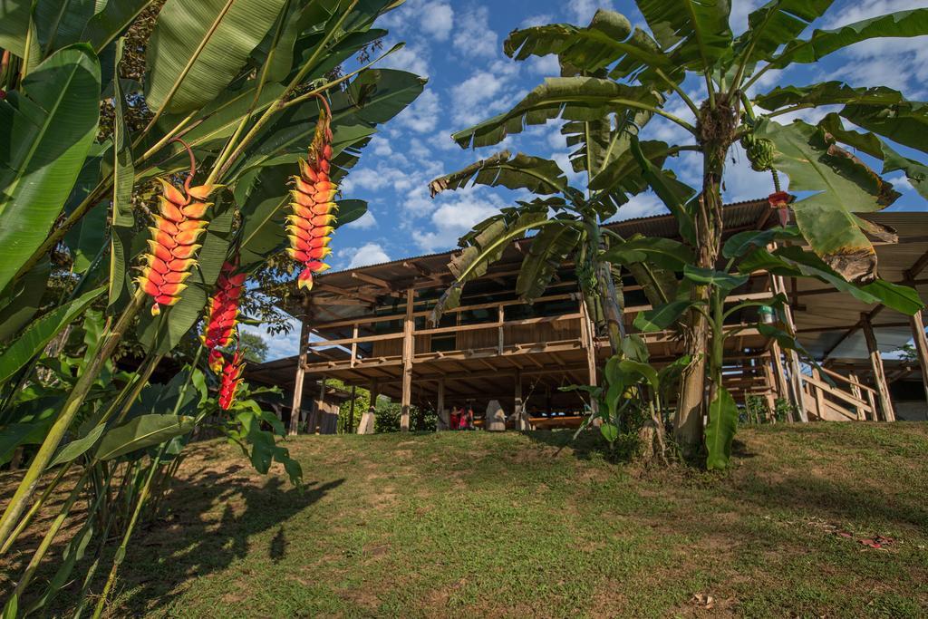 Albergue La Laguna Puerto Jiménez Eksteriør bilde