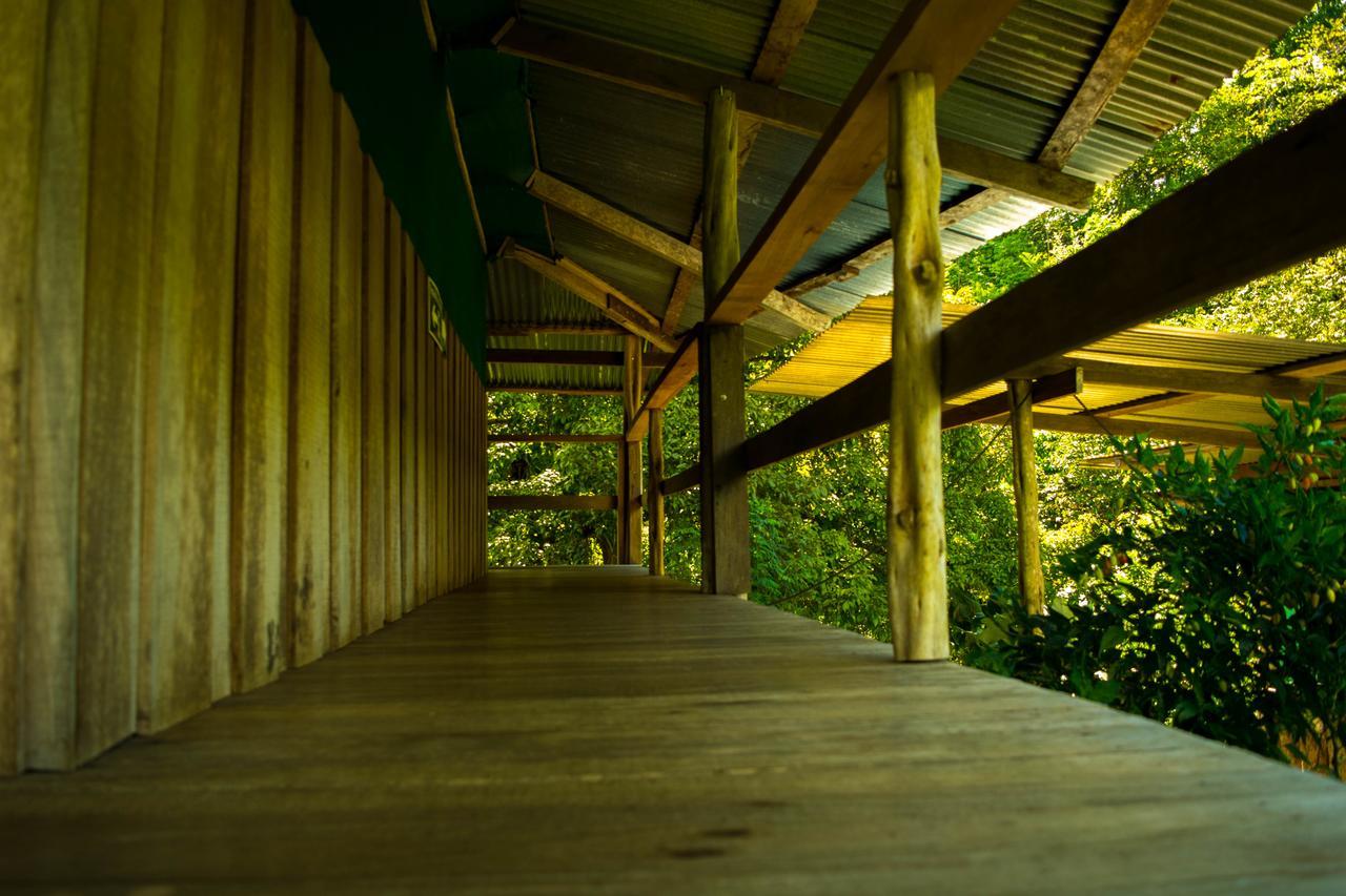 Albergue La Laguna Puerto Jiménez Eksteriør bilde